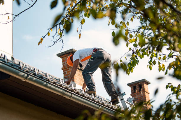 Best Roof Gutter Cleaning  in Farmersburg, IN