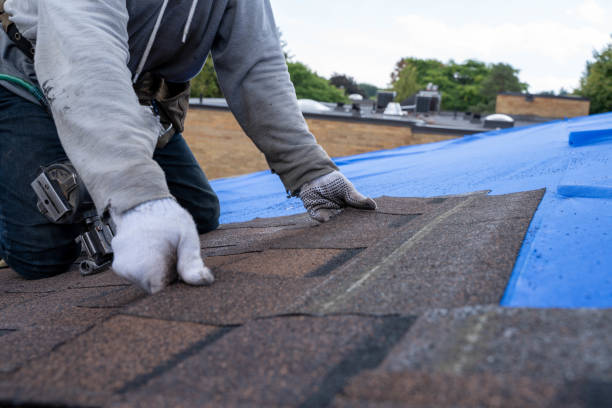 Best Storm Damage Roof Repair  in Farmersburg, IN